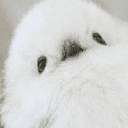 mountit