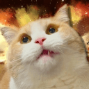 6969neko